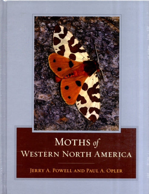 Book cover of: Moths of Western North America. By: Jerry A. Powell