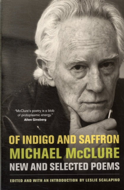 Book cover of: Of Indigo and Saffron