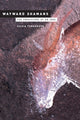Book cover of: Wayward Shamans