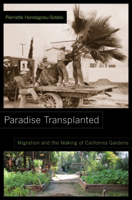 Book cover of: Paradise Transplanted. By: Pierrette Hondagneu-Sotelo