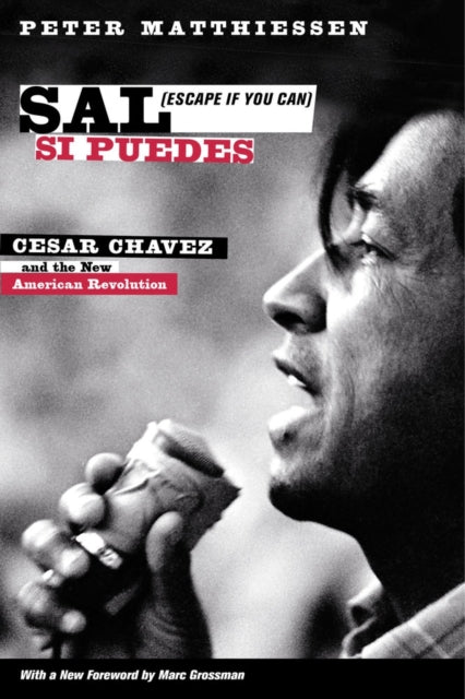 Book cover of: Sal Si Puedes (Escape If You Can)