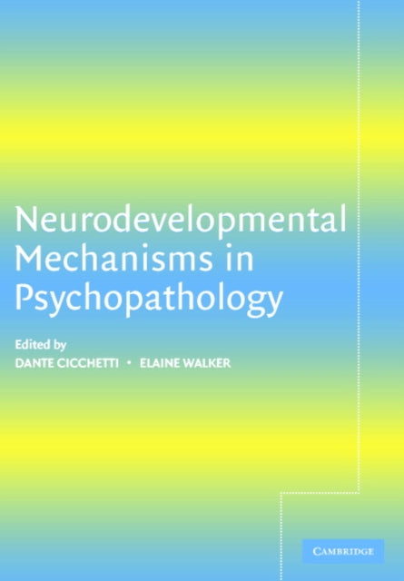 Book cover of: Neurodevelopmental Mechanisms in Psychopathology