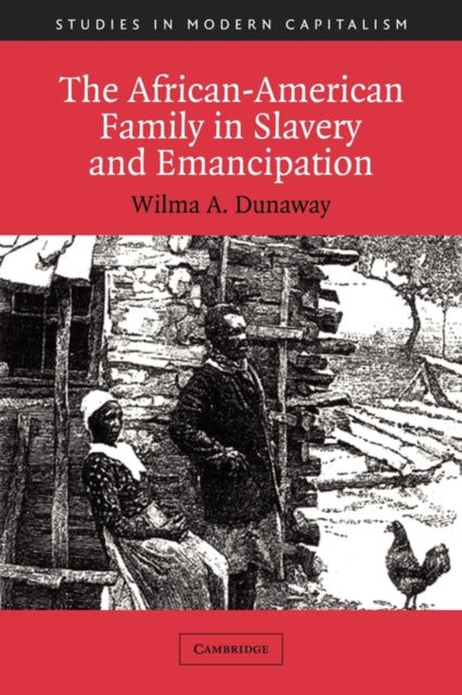 Book cover of: African-American Family in Slavery and Emancipation