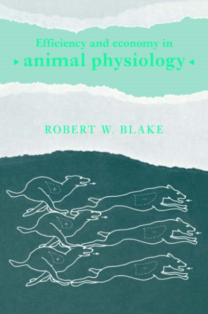 Book cover of: Efficiency and Economy in Animal Physiology. By: Robert W. Blake