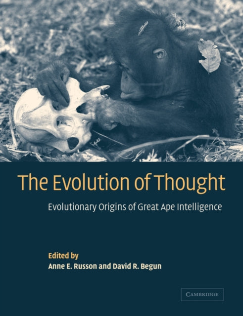 Book cover of: Evolution of Thought