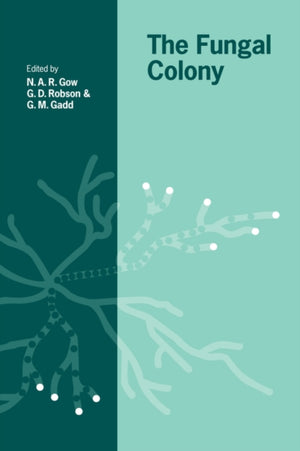 Fungal Colony