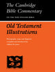 Book cover of: Old Testament Illustrations. By: Clifford M. Jones