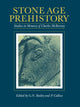 Book cover of: Stone Age Prehistory. By: G. N. Bailey