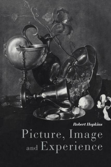 Book cover of: Picture, Image and Experience. By: Robert Hopkins