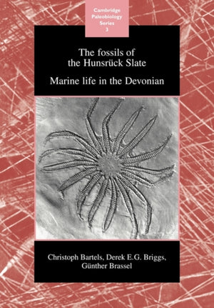 Fossils of the Hunsruck Slate