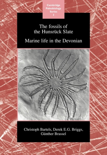 The Fossils of the Hunsruck Slate