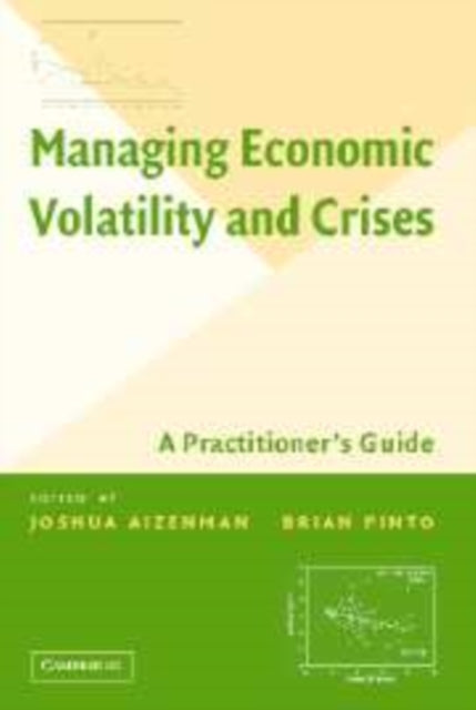 Managing Economic Volatility and Crises