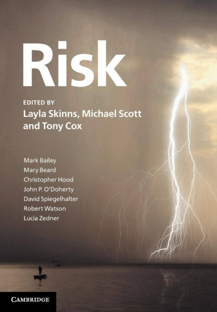 Book cover of: Risk. By: Layla Skinns