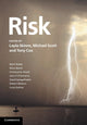 Book cover of: Risk. By: Layla Skinns