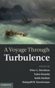 Book cover of: Voyage Through Turbulence. By: P. A. Davidson