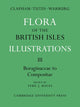 Book cover of: Flora of the British Isles. By: A. R. Clapham