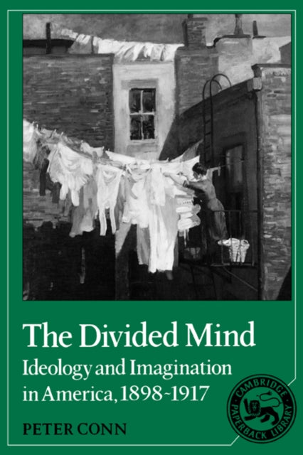 Book cover of: Divided Mind. By: Peter Conn