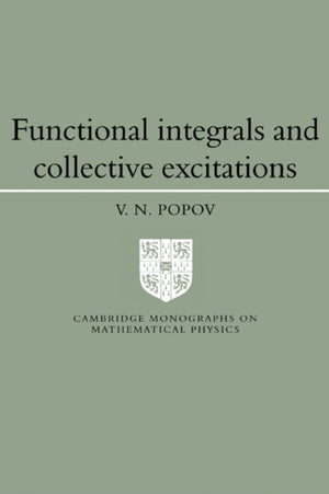 Functional Integrals and Collective Excitations
