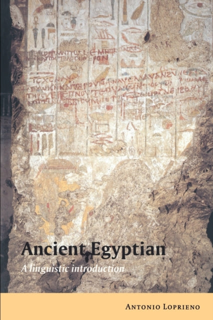 Book cover of: Ancient Egyptian. By: Antonio Loprieno