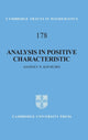 Book cover of: Analysis in Positive Characteristic. By: Anatoly N. Kochubei