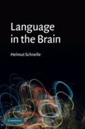 Language in the Brain