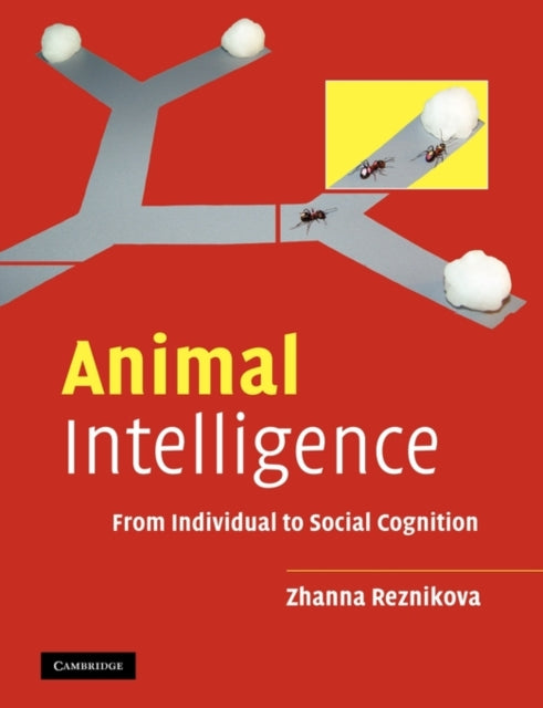 Book cover of: Animal Intelligence. By: Reznikova, Zh. I., Zhanna Reznikova
