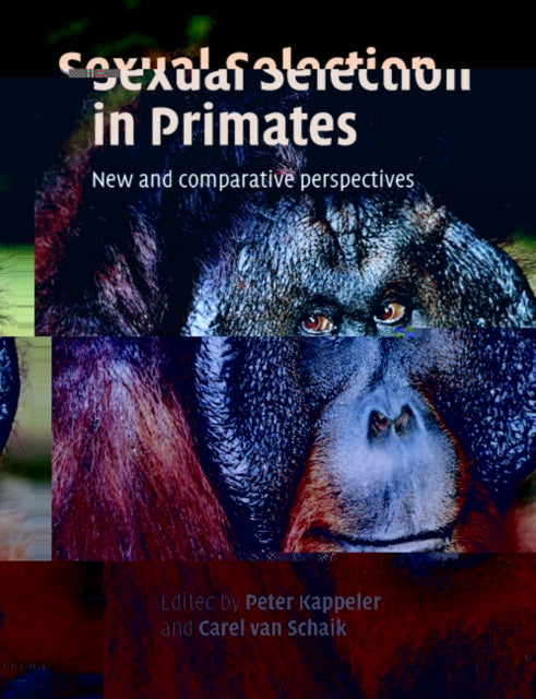 Book cover of: Sexual Selection in Primates
