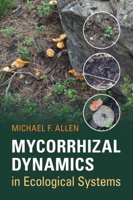 Book cover of: Mycorrhizal Dynamics in Ecological Systems