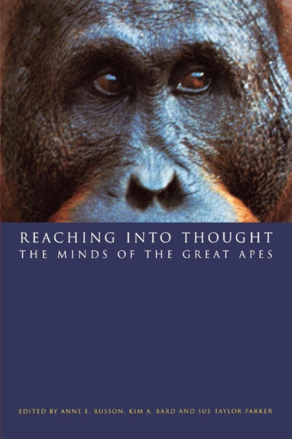 Book cover of: Reaching into Thought