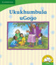 Book cover of: Ukukhumbula uGogo (IsiZulu). By: Dianne Stewart