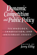 Dynamic Competition and Public Policy