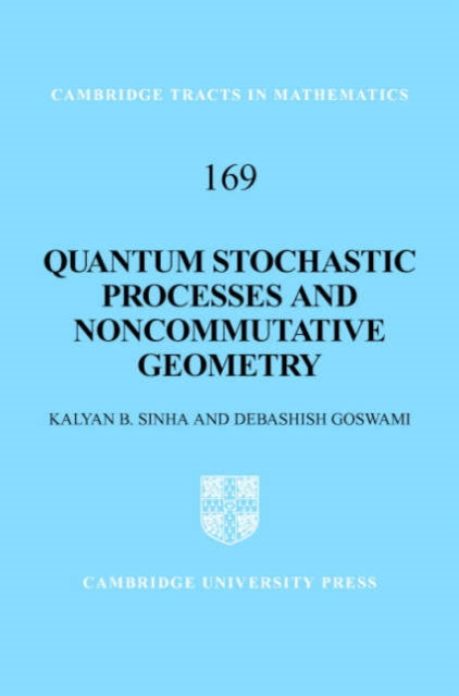 Quantum Stochastic Processes and Noncommutative Geometry