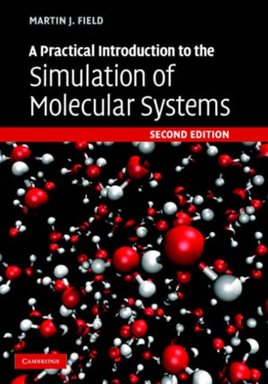 Practical Introduction to the Simulation of Molecular Systems