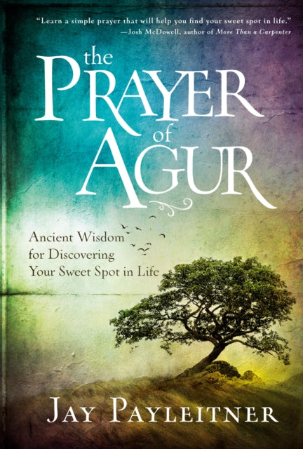 Book cover of: Prayer of Agur. By: Jay Payleitner