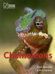 Book cover of: Chameleons