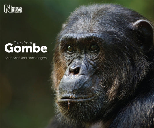 Book cover of: Tales from Gombe. By: Anup Shah