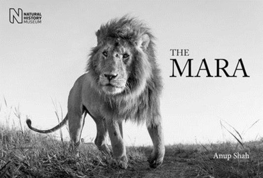 Book cover of: Mara. By: Anup Shah