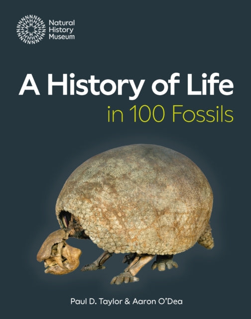 Book cover of: History of Life in 100 Fossils. By: Paul D. Taylor