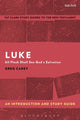 Book cover of: Luke: An Introduction and Study Guide. By: Greg Carey