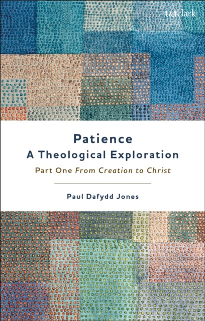 Book cover of: Patience—A Theological Exploration. By: Paul Dafydd Jones