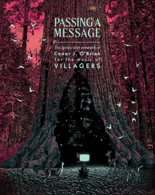 Book cover of: Passing a Message. By: Conor J. O'Brien