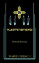Book cover of: Palestine, New Mexico. By: Richard Montoya