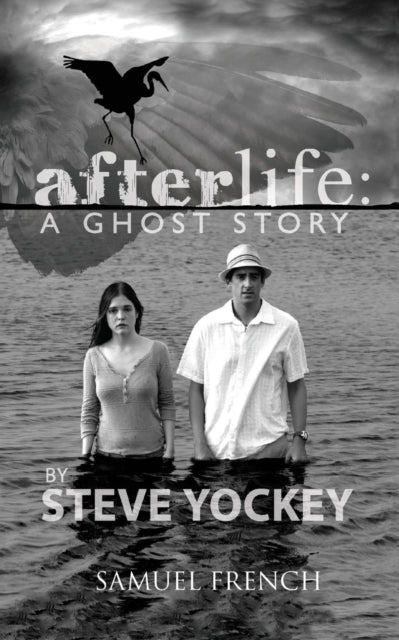 Book cover of: Afterlife. By: Steve Yockey