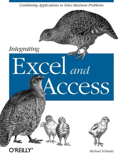 Book cover of: Integrating Excel and Access. By: Michael Schmalz