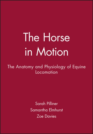 Horse in Motion