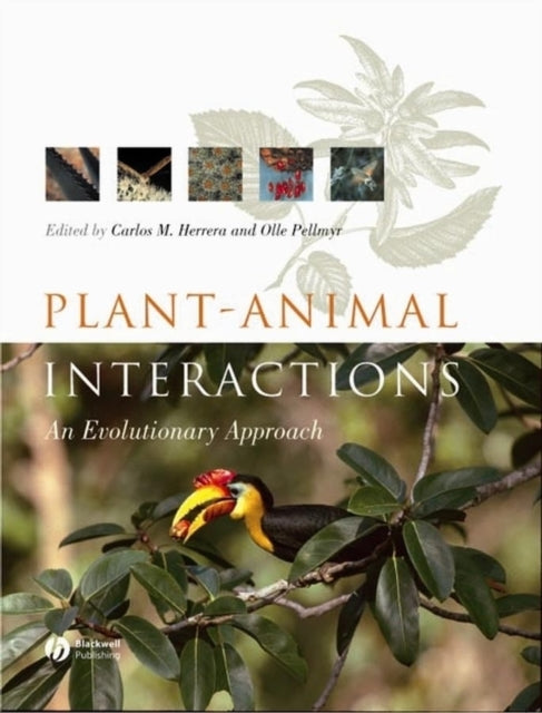 Book cover of: Plant Animal Interactions. By: Olle Pellmyr
