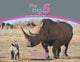 Book cover of: Rhino