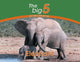 Book cover of: Elephant. By: Megan Emmett