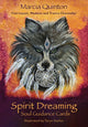 Book cover of: Spirit Dreaming