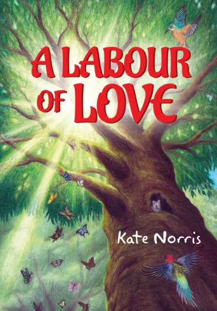 Book cover of: Labour of Love. By: Kate Norris